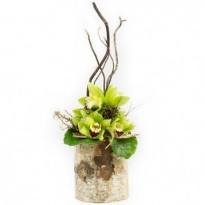 Blumengesteck "Orchideen"