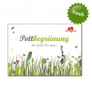 Blumensamen-Mix Pottbegrünung