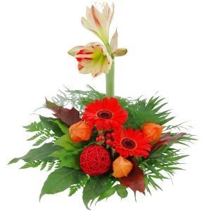 Blumenstrauß Amaryllistraum