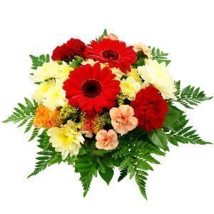 Blumenstrauß Blumenfreude Gelb-Rot