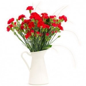 Blumenstrauß "Charme"