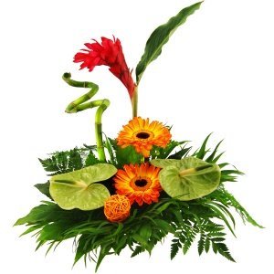 Blumenstrauß Exotic