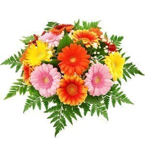 Blumenstrauß Gerberapracht