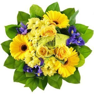 Blumenstrauß Himmelsstrahl