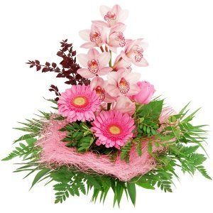 Blumenstrauß Orchideentraum