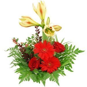 Blumenstrauß Ritterstern