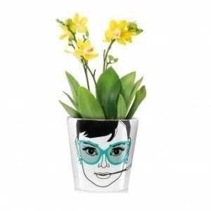 Blumentopf Elegant Audrey groß