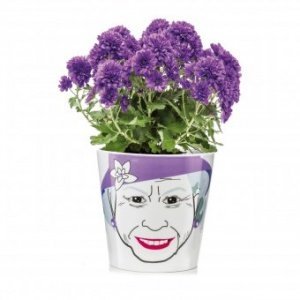 Blumentopf Flower Queen groß