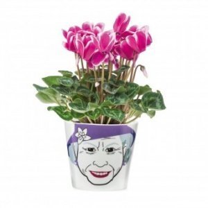 Blumentopf Flower Queen klein