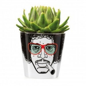 Blumentopf Herbal Jimmy groß