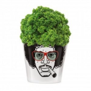 Blumentopf Herbal Jimmy klein