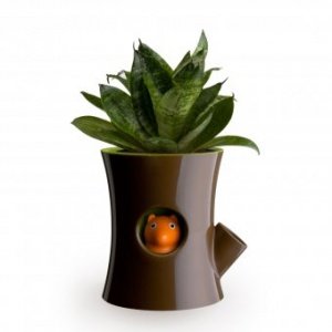 Blumentopf Log und Squirrel