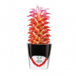 Blumentopf Magic Bobby groß