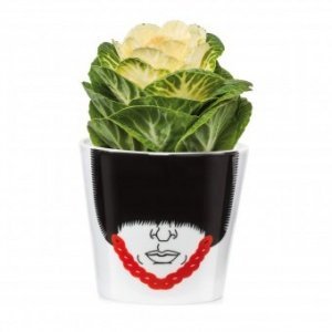 Blumentopf Magic Bobby klein