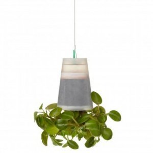 Blumentopf Sky Planter S transparent