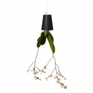 Blumentopf Sky Planter small black