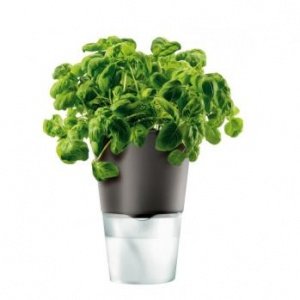 Blumentopf dunkelgrau 13cm 568204 von ev