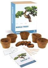 Bonsai Bäume Pflanzenzucht-Set weiss