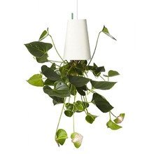Boskke - Sky Planter Recycled Small, wei