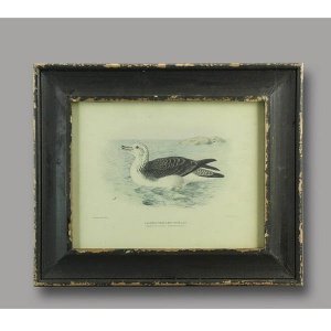 Box "Buch" im Set von My Flair