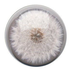 Briefbeschwerer "Dandelion"