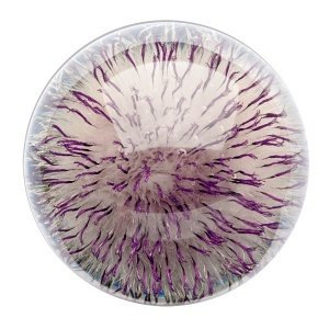 Briefbeschwerer "Open Thistle"