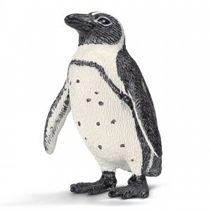 Brillenpinguin