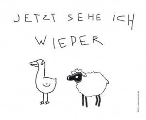 Brillenputztuch Jetzt sehe ich wieder Ga