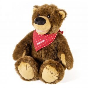 Brummel der Geschichtenbär