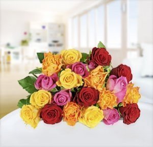 Bunte Rosen