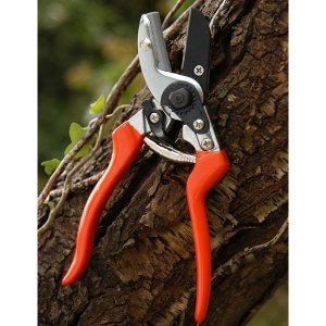 Burgon & Ball Amboss-Schere