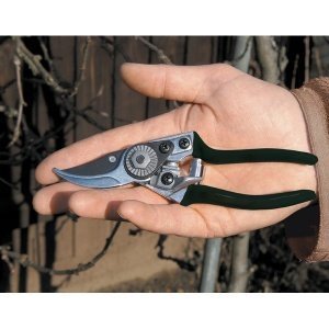 Burgon & Ball Mini-Gartenschere / Tasche