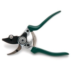 Burgon & Ball Rosenschere "cut & hold"