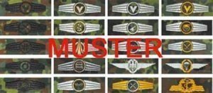 BW Tätigkeitsabz. Raketenpersonal fleckt