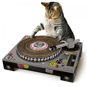 CAT SCRATCH Katzen-Kratz-Spielzeug