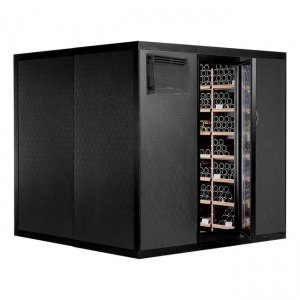 CAVISPACE 1900 Klimaschrank für 1900 Fla