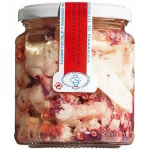 Calamari Polypenscheiben Ligurien Siccar