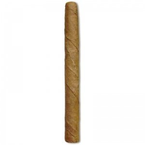 Casa de Torres Senoritas de Luxe in Holz