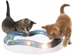 Catit 50735 Senses Tempo - Spielschiene für Katzen