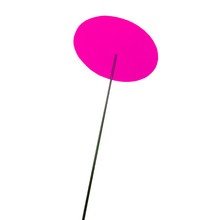 Cazador-del-sol Cazador del sol - Uno So