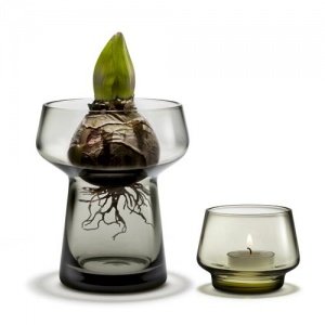 CELEBRATE Amaryllisvase + Teelicht