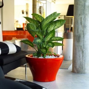 Centro Alto Pflanzentrog