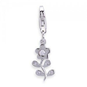 Charm Silber