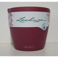 CLASSICO Color 21 Trendserie Komplettset