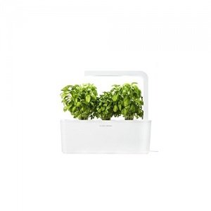 Click & Grow smartes Kräutergarten-Set