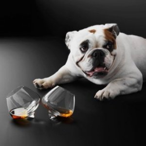 Cognac Schwenker 2 Stk.