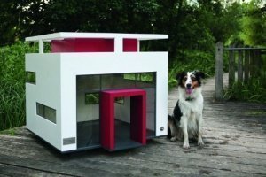 CUBIX Hunde Bauhaus