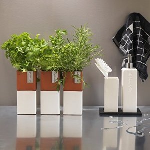 Cult Design Blumentopf selbstbewässernd EVERGREEN L