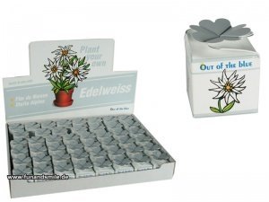 Das Alpen Edelweiß Set