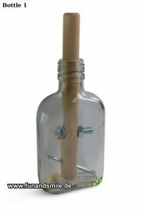Das Flaschenpuzzle